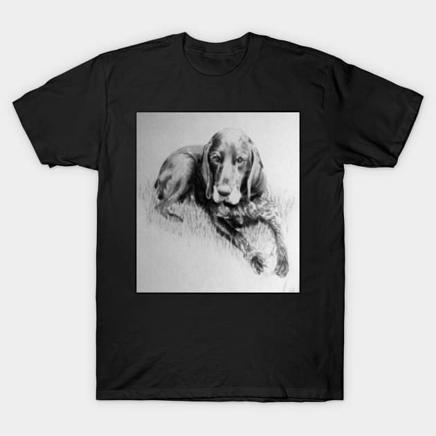 Dog in charcoal by Avril Thomas T-Shirt by AvrilThomasart